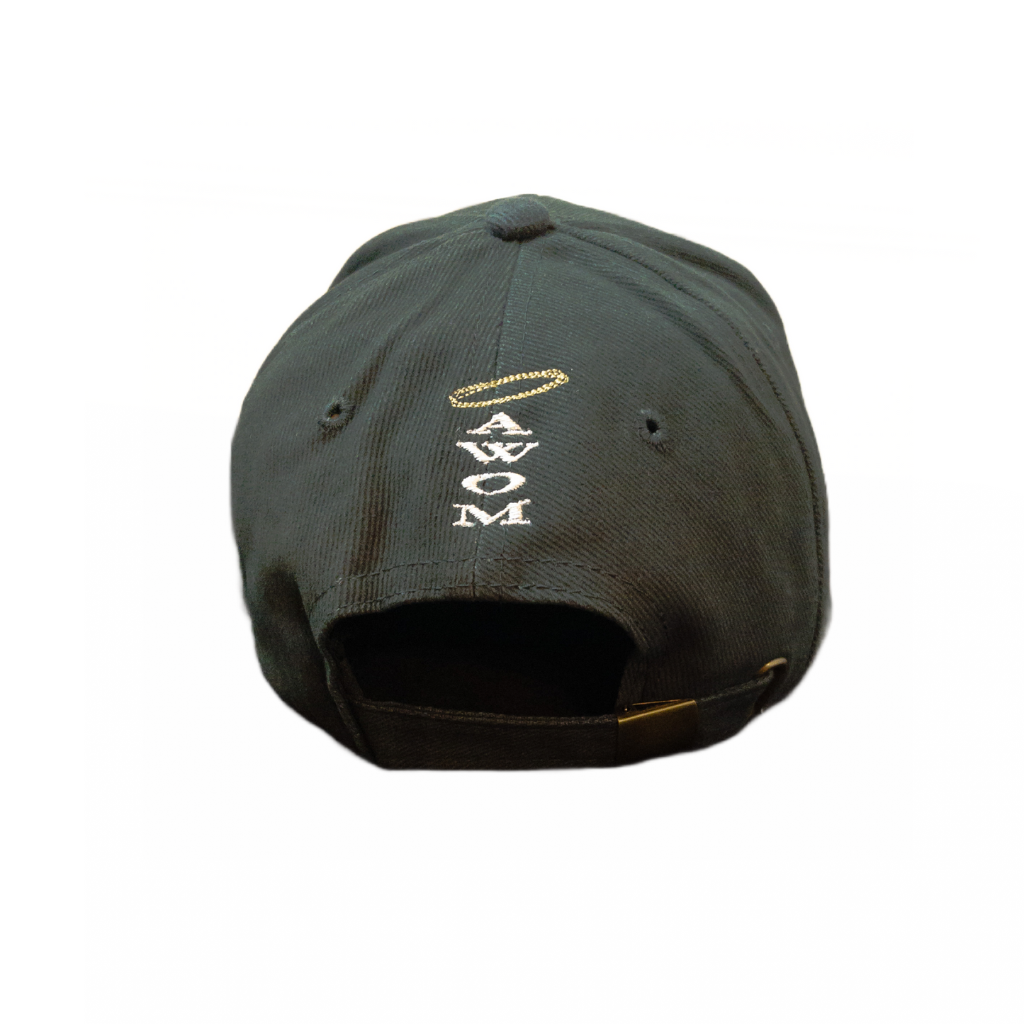 Self-Investment Yields Success Dad Hat